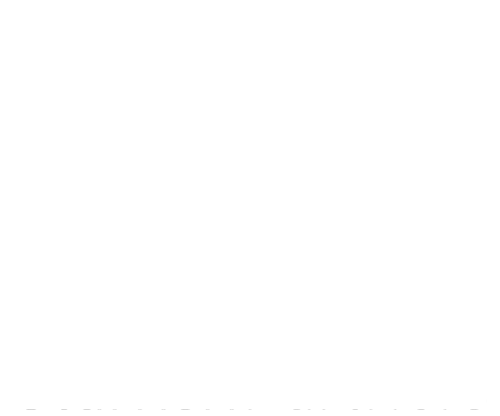 Starfish Partners Logo