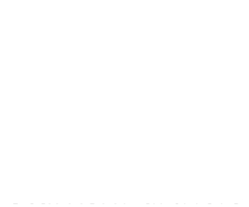 Starfish Partners Logo